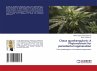 Cissus quadrangularis: A Phytonutrient... - Bild 1