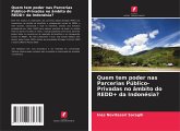 Quem tem poder nas Parcerias Público-Privadas no âmbito do REDD+ da Indonésia?