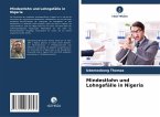 Mindestlohn und Lohngefälle in Nigeria