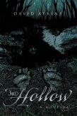 3rd Hollow (eBook, ePUB)
