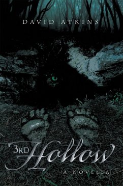 Cover 3rd Hollow (eBook, ePUB)