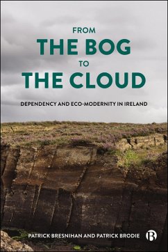 Cover From the Bog to the Cloud (eBook, ePUB)