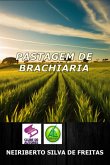 Pastagem De Brachiária (eBook, ePUB)