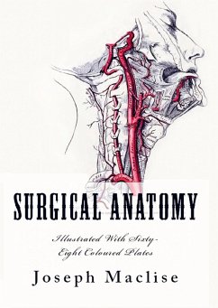 Surgical Anatomy - Joseph Maclise