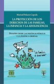 La protección de los derechos de las familias, la infancia y la adolescencia (eBook, PDF)