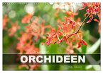 Orchidaceae - Orchideen (Wandkalender 2026 DIN A3 quer), CALVENDO Monatskalender