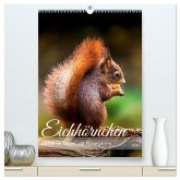 Niedlicher Nager - Das Eichhörnchen (hochwertiger Premium Wandkalender 2026 DIN A2 hoch), Kunstdruck in Hochglanz