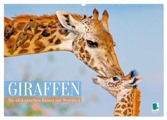Giraffen: Die afrikanischen Riesen mit Weitblick (Wandkalender 2026 DIN A2 quer), CALVENDO Monatskalender - Calvendo