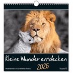 Kleine Wunder entdecken 2026