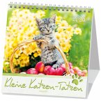 Kleine Katzen-Tatzen 2026 Kleine Katzen-Tatzen 2026