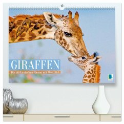 Giraffen: Die afrikanischen Riesen mit Weitblick (hochwertiger Premium Wandkalender 2026 DIN A2 quer), Kunstdruck in Hochglanz - Calvendo Giraffen: Die afrikanischen Riesen mit Weitblick (hochwertiger Premium Wandkalender 2026 DIN A2 quer), Kunstdruck in Hochglanz - Calvendo