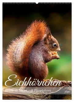 Cover Niedlicher Nager - Das Eichhörnchen (Wandkalender 2026 DIN A2 hoch), CALVENDO Monatskalender