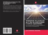 Viabilidade de produção de 2 Mw de eletricidade e outras capacidades