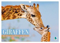 Giraffen: Die afrikanischen Riesen mit Weitblick (Wandkalender 2026 DIN A3 quer), CALVENDO Monatskalender - Calvendo