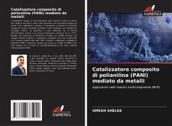 Cover Catalizzatore composito di polianilina (PANI) mediato da metalli