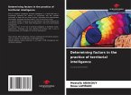 Determining factors in the practice of territorial intelligence