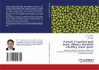 A study of spotted pod borer, Maruca testulalis infesting Green gram