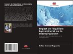 Impact de l'équilibre hydrominéral sur la microcirculation