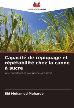 Capacité de repiquage et répétabilité chez la canne à sucre - Mehareb, Eid Mohamed