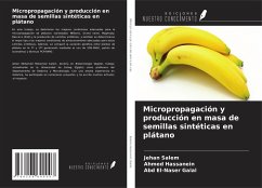 Cover Micropropagación y producción en masa de semillas sintéticas en plátano