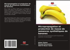 Cover Micropropagation et production de masse de semences synthétiques de bananes