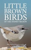 Little Brown Birds Little Brown Birds