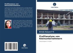 Cover Profilanalyse von Kleinunternehmern