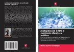 Justaposição entre o currículo atual e a prática Justaposição entre o currículo atual e a prática