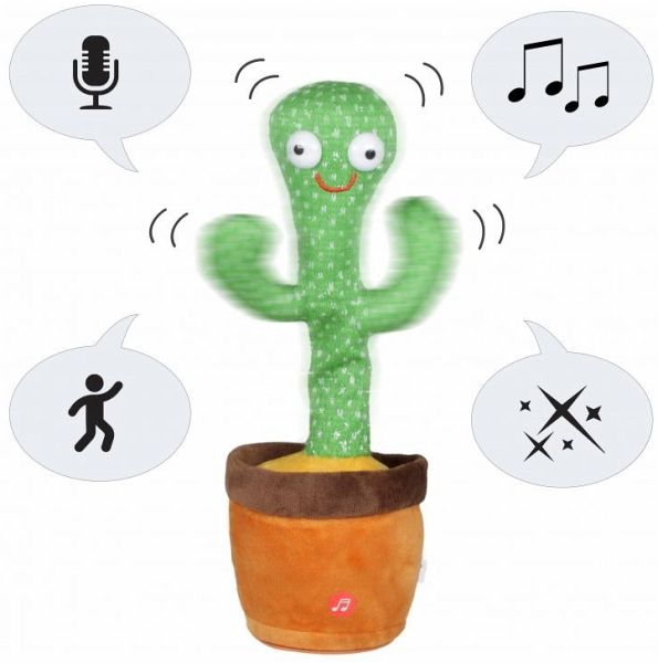Tanzender Kaktus 