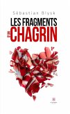 Les fragments d'un chagrin (eBook, ePUB)