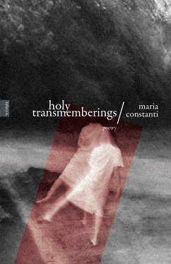 Cover Holy transmemberings (eBook, ePUB)