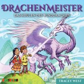 Drachenmeister (20) (MP3-Download) Drachenmeister (20) (MP3-Download)