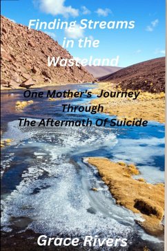 Finding Streams in the Wasteland (eBook, ePUB) - Rivers, Grace