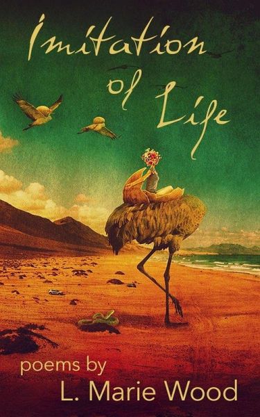 Imitation of Life (eBook, ePUB) Imitation of Life (eBook, ePUB)