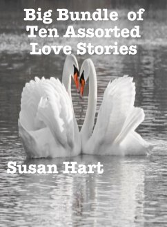 Cover Big Bundle of Ten Assorted Love Stories (eBook, ePUB)