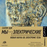 My - elektricheskie (MP3-Download) My - elektricheskie (MP3-Download)