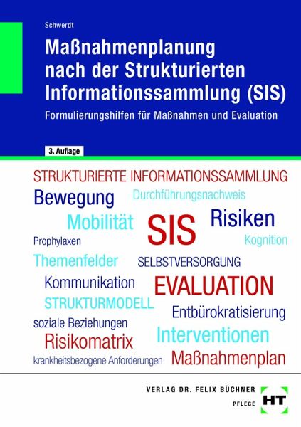 eBook inside: Buch und eBook Maßnahmenplanung nach der Strukturierten Informationssammlung (SIS)