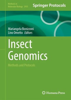 Cover Insect Genomics