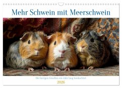 Cover Mehr Schwein mit Meerschwein (Wandkalender 2026 DIN A3 quer), CALVENDO Monatskalender