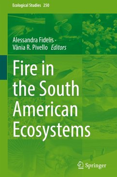 Cover Fire in the South American Ecosystems