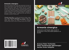 Cover Armonia sinergica