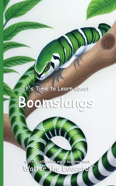 It's Time to Learn about Boomslangs It's Time to Learn about Boomslangs