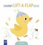 Baby's Chunky Lift-The-Flap