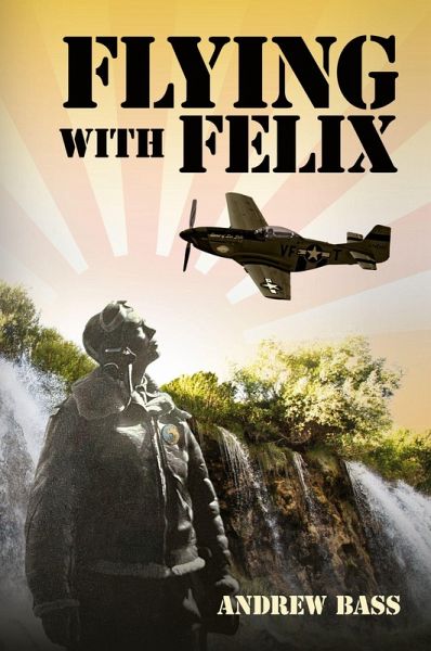 Flying with Felix