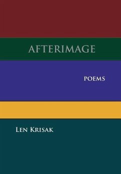 Cover Afterimage