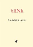 bliNk bliNk