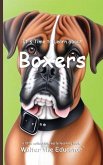 It's Time to Learn about Boxers It's Time to Learn about Boxers