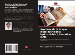Cover Synthèse de la brique multi-nutriments hydrosoluble à libération lente