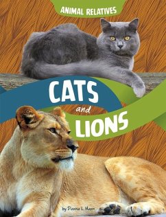 Cats and Lions Cover Cats and Lions