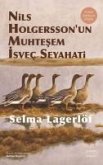 Nils Holgerssonun Muhtesem Isvec Seyahati Nils Holgerssonun Muhtesem Isvec Seyahati